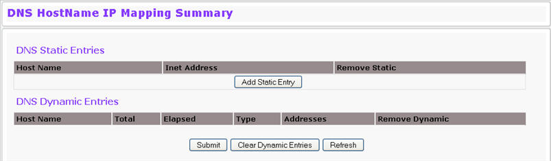 dns_host2