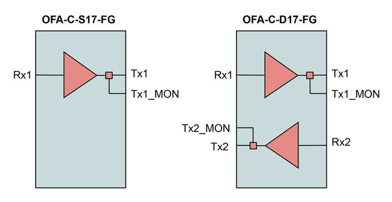 Single and Dual type of OFA Cards