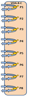 Functional Diagram- VOA