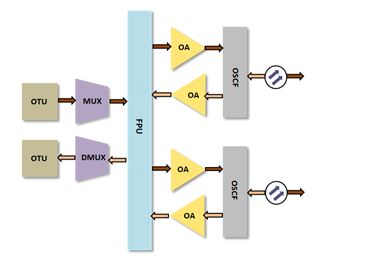 1+1 Intra Board Protection (OMS)