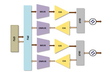 1+1 Intra Channel Protection (OCH)
