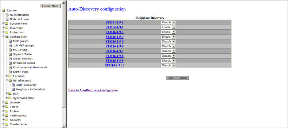 Auto-Discovery configuration- Neighbour Discovery