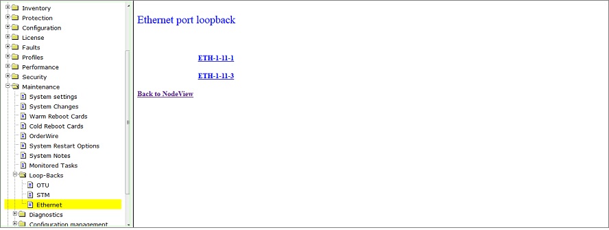 Ethernet port loopback