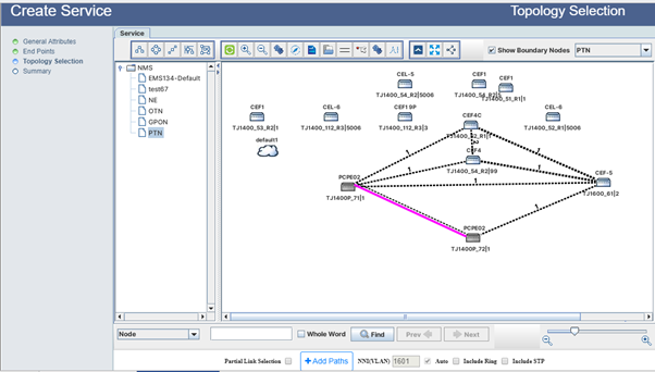 Create .1q/.1ad Service- Step 4 (Topology Selection)