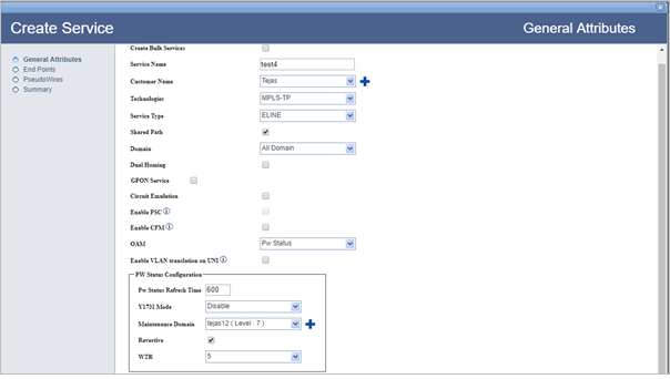 Create MPLS-TP service waith PWSM - Step 1 (General attributes)