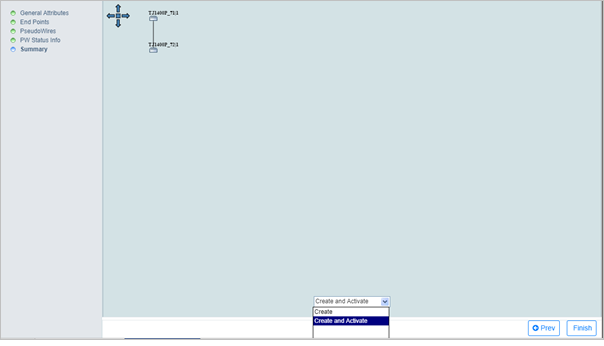 Create MPLS-TP Service with PWSM- Step 6 (Summary)