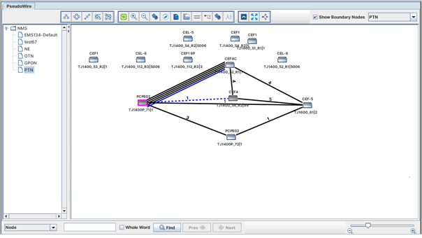 PseudoWire selection- Adding Protect Path