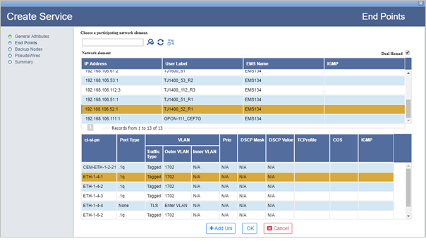 Create MPLS-TP ELINE Dual Homed services over a single switch- Step 2 (End Points- Primary Node)