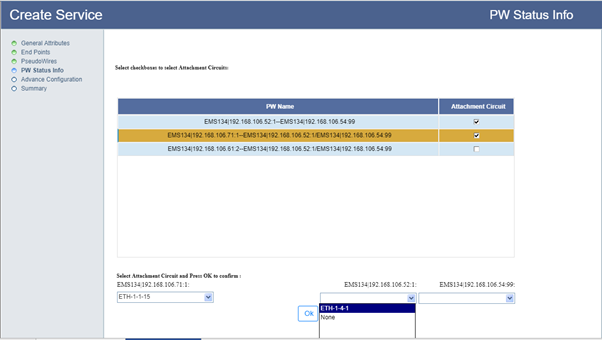 Create Service- Step 4 (Pw Status Info) ELAN Dual Homed