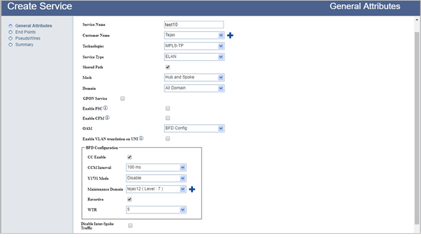 Create ELAN services with Hub and Spoke- Step 1 (General Attributes)