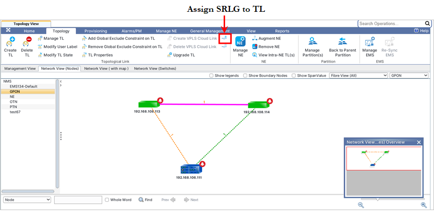 Assign SRLG ID to TLs from Topology View