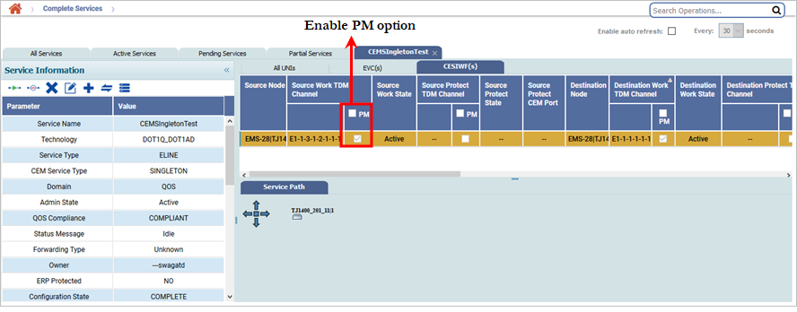 Enable PM on CESIWF(s) of Singleton CEM service