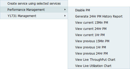 Service Performance Management menu options