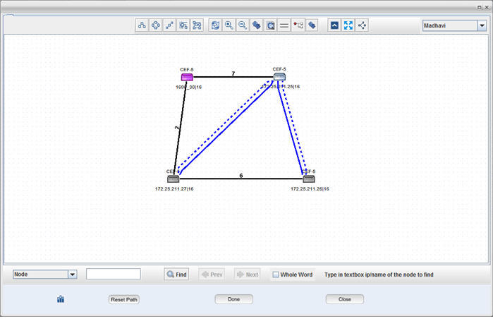 Manual Path Selection (Partial Link Selection)