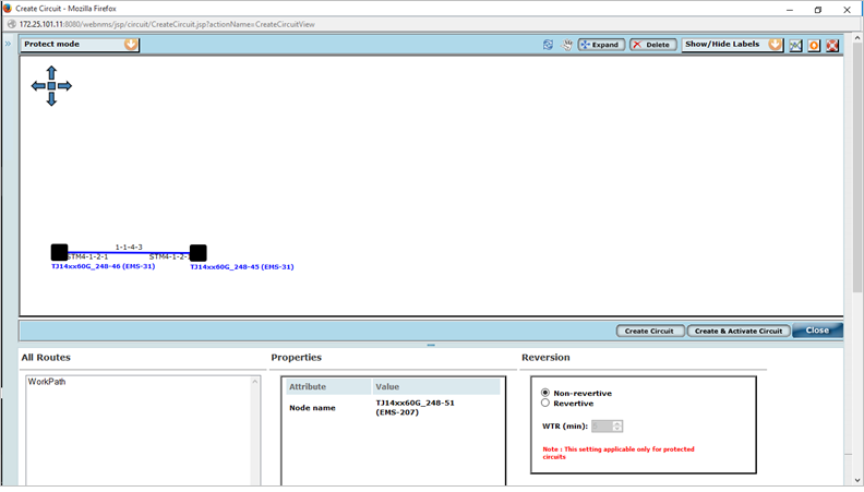 Create Circuit from Topology View Screen 1