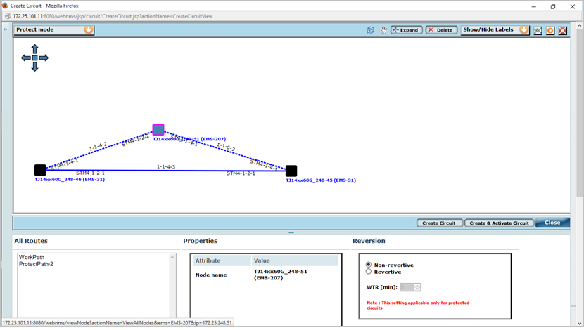 Create Circuit from Topology View Screen 2