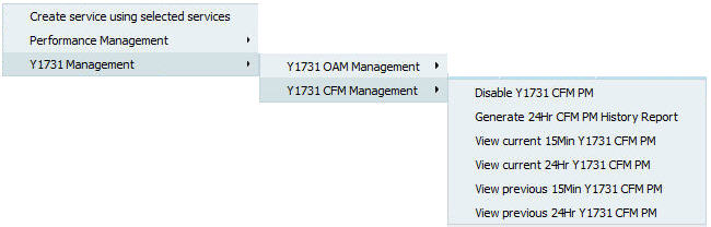 Service Y1731 CFM Management menu options