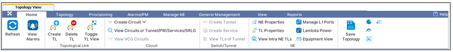 Topology View - Home tab