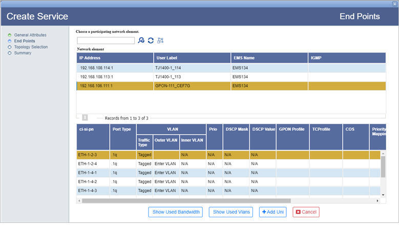 Create .1q/.1ad Service- Step 2 (Adding End Points)